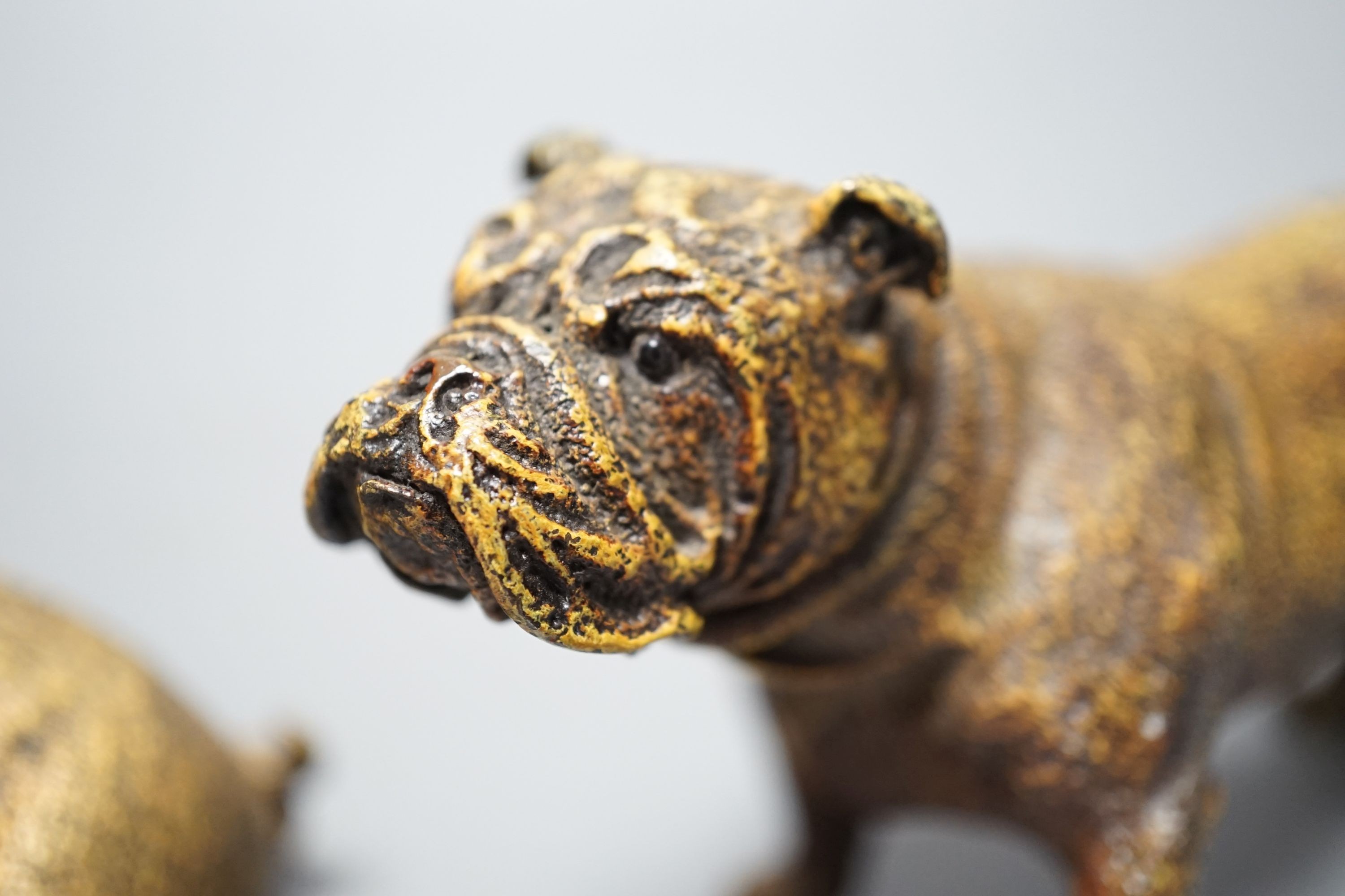 Two cold painted bronzes, a pug and a bulldog, with applied discs reading ‘GESCHUTZT’. 14cm